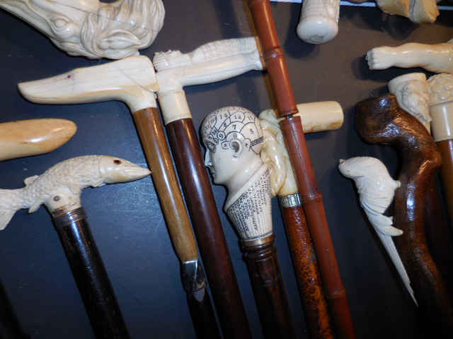 The Henry Foster Cane Collection - DSCN0012.JPG