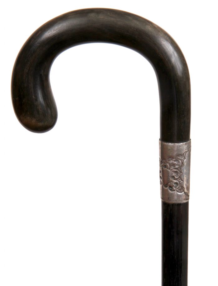 Antique and Quality Modern Cane Auction - 54.jpg