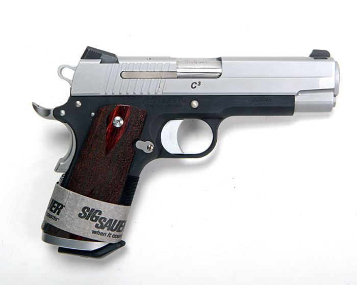 Mr. Terry Payne Custom Pistol,  Collectible Pistols, Long Guns, 50 Year Collection Online Auction  - 28_1.jpg