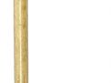 Antique Canes Auction- Fine Erotic Canes, Nautical Canes, Ivory Canes, Dress Canes. Gold Canes, and every Category of Antique Cane - 9177.jpg