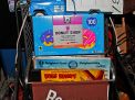  True Barn Find Lifetime Collection Absolute Auction - 7005.jpg
