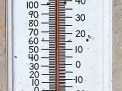  True Barn Find Lifetime Collection Absolute Auction - 7048.jpg