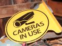  True Barn Find Lifetime Collection Absolute Auction - 7084.jpg