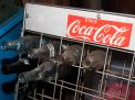  True Barn Find Lifetime Collection Absolute Auction - 7100.jpg
