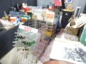  True Barn Find Lifetime Collection Absolute Auction - DSCN0256.JPG